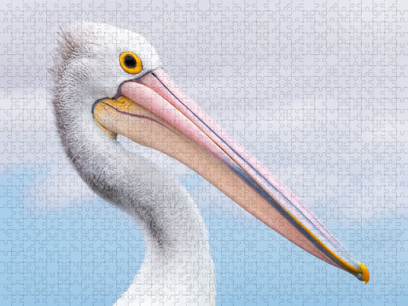 Brillenpelikan - CALVENDO Foto-Puzzle'