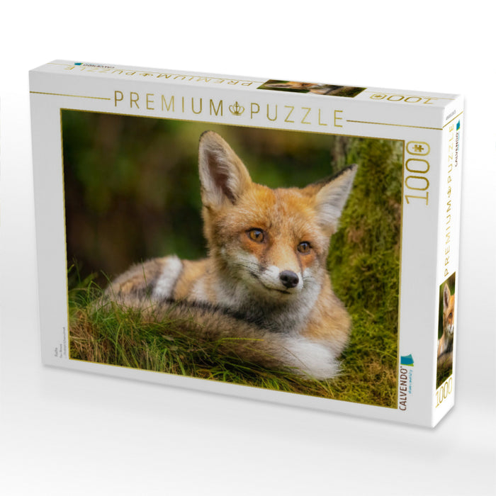 Renard - Puzzle photo CALVENDO' 