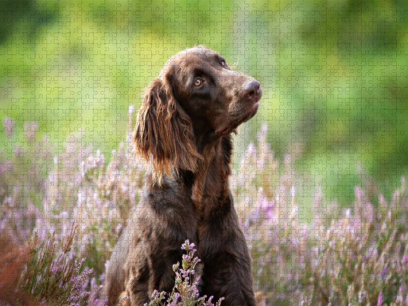 Zeit mit dem Hund ist nie verlorene Zeit! - CALVENDO Foto-Puzzle'