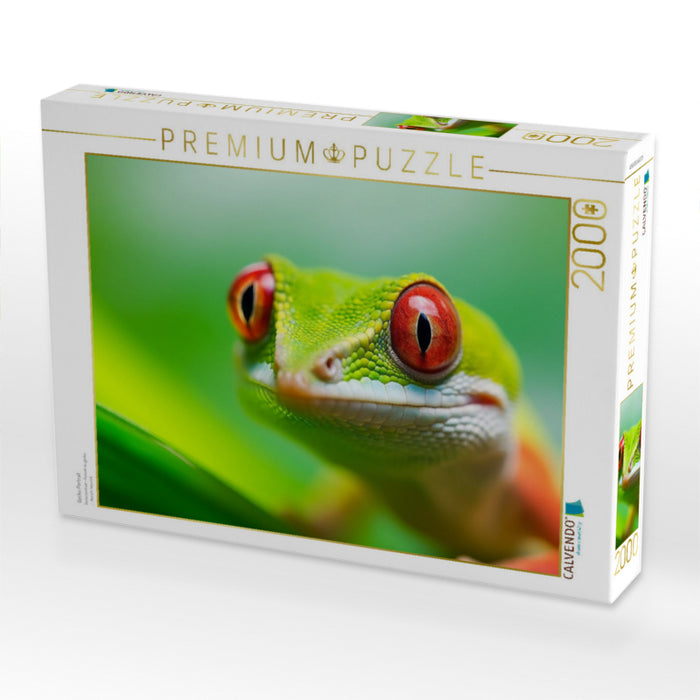 Gecko Portrait - CALVENDO Foto-Puzzle'