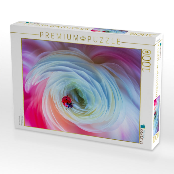 Ranunkel Strudel - CALVENDO Foto-Puzzle'