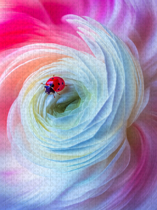 Ranunkel Strudel - CALVENDO Foto-Puzzle'