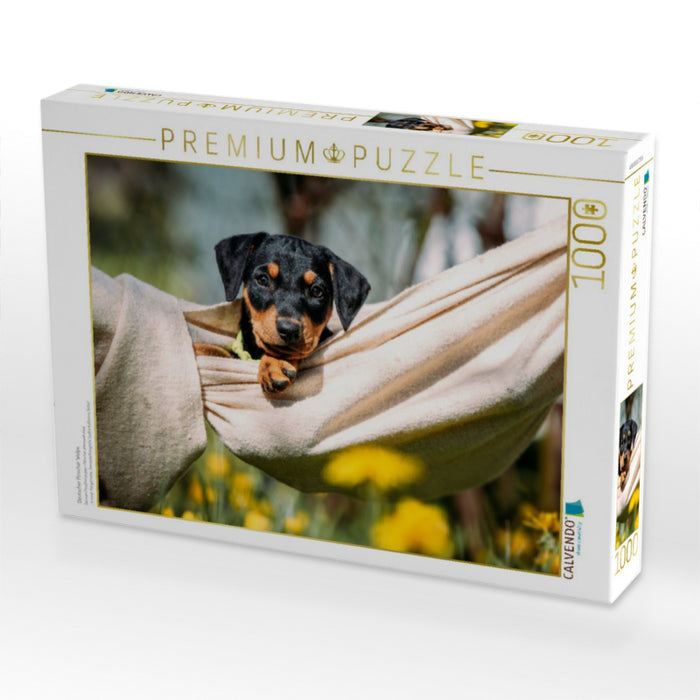Deutscher Pinscher Welpe - CALVENDO Foto-Puzzle'