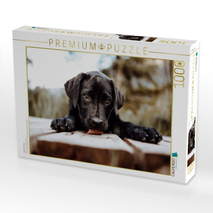 Labrador Welpe - CALVENDO Foto-Puzzle'