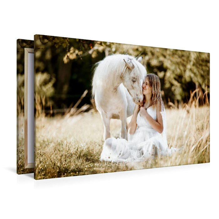 Premium Textil-Leinwand Shettland Pony