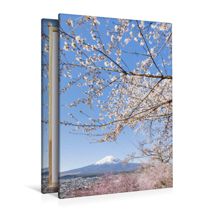 Premium Textil-Leinwand Charmanter Blick auf den Fuji bei Kirschblüte