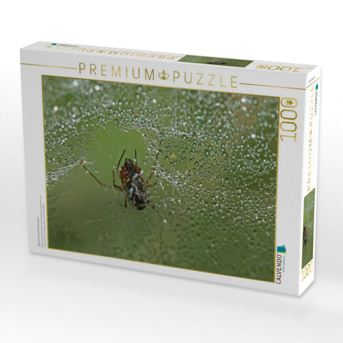 Spinnennetz mit Tautropfen - CALVENDO Foto-Puzzle'