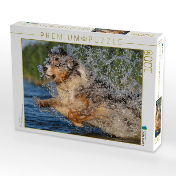 Spaß in der Elbe - CALVENDO Foto-Puzzle'