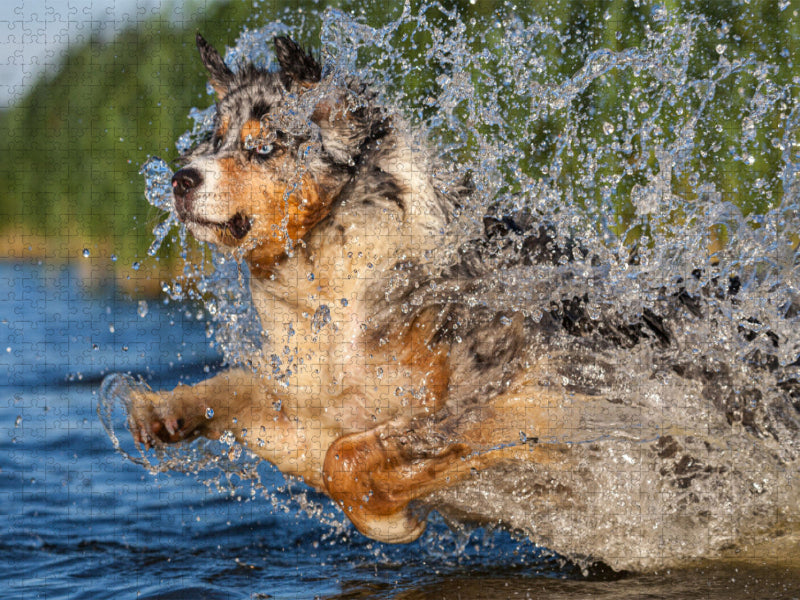 Spaß in der Elbe - CALVENDO Foto-Puzzle'