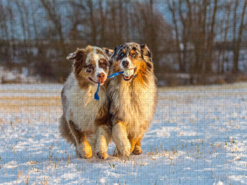 Wir ziehen an einem Strang! - CALVENDO Foto-Puzzle'