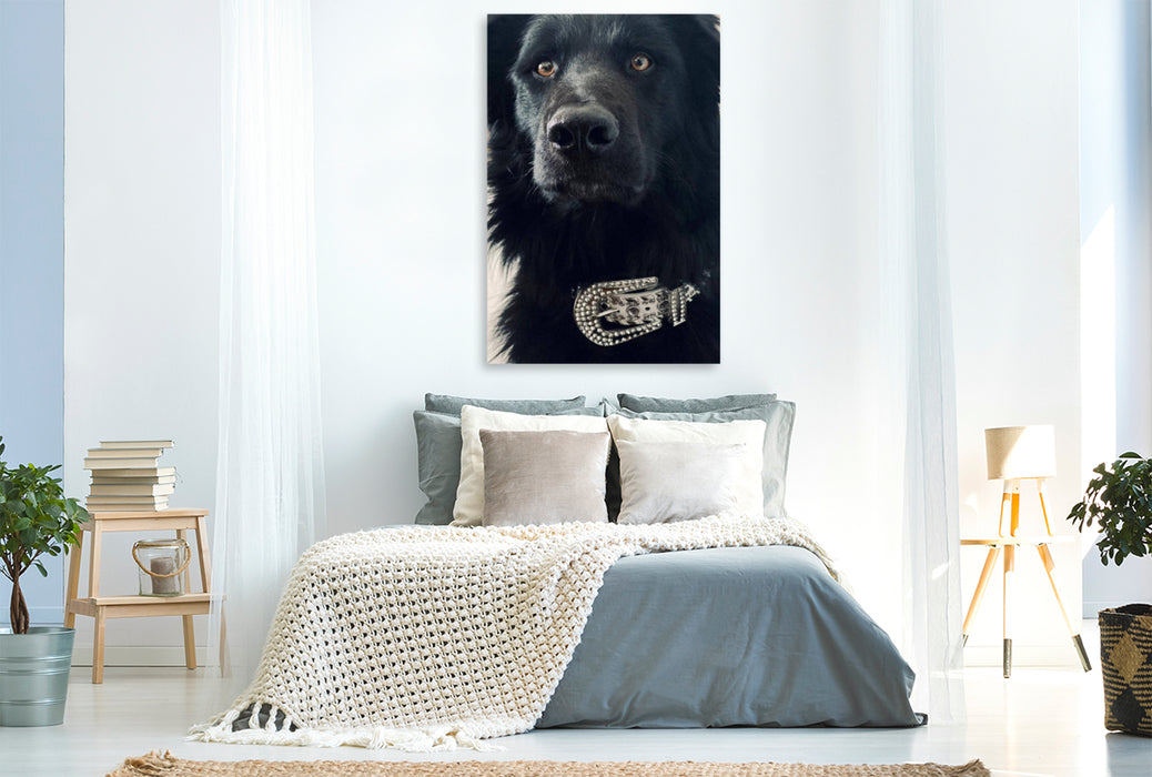 Premium textile canvas dog in puberty 