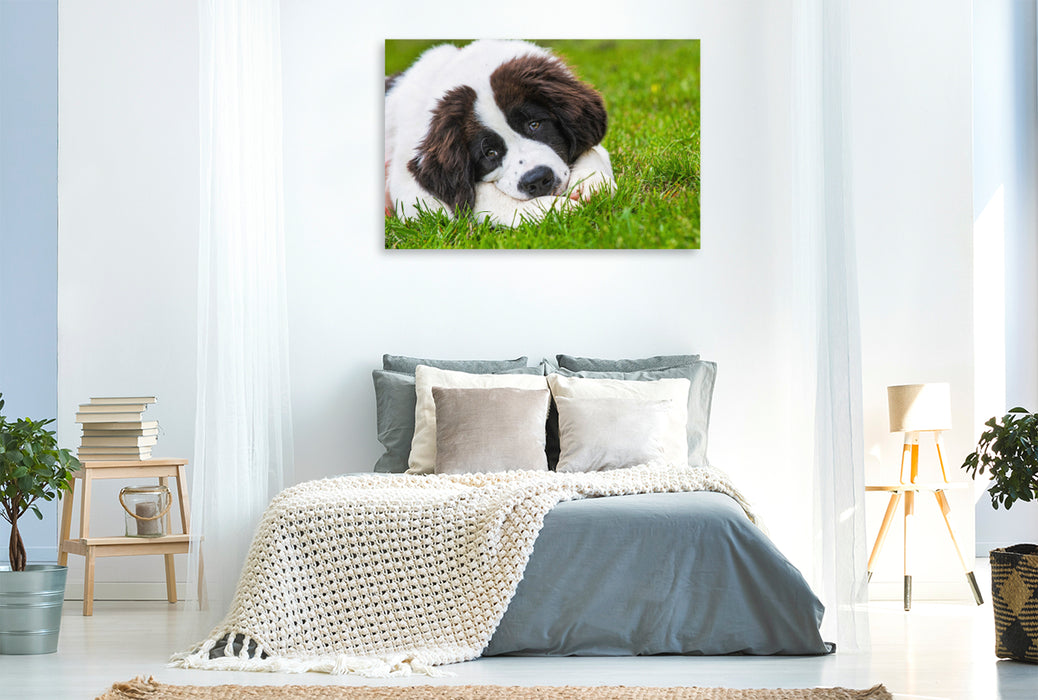 Premium textile canvas Who can resist this look? 