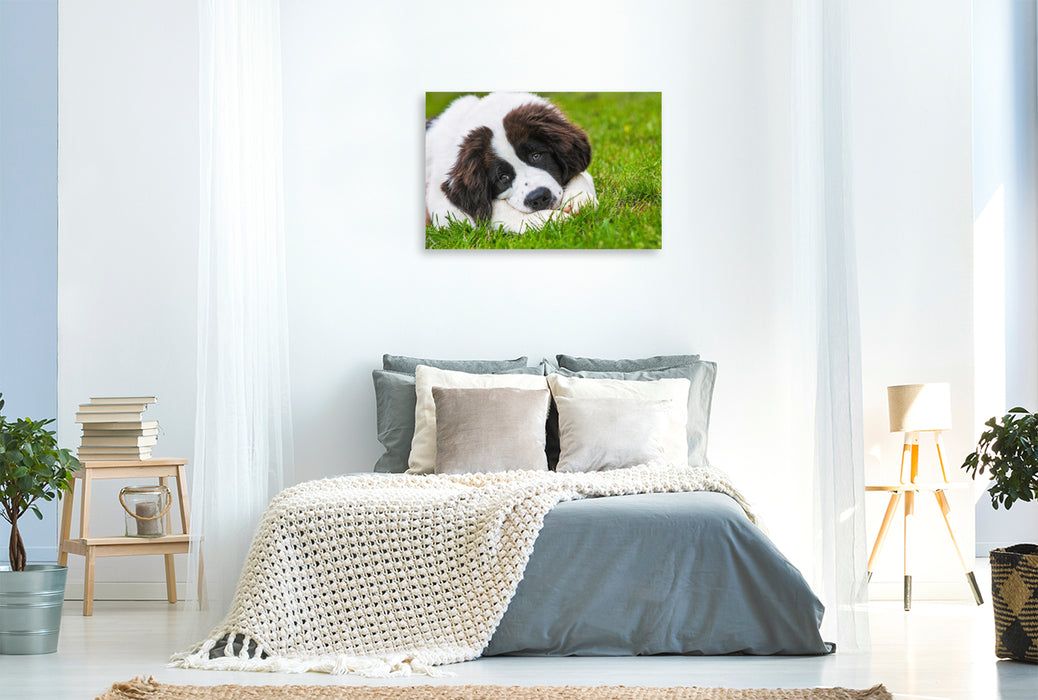 Premium textile canvas Who can resist this look? 