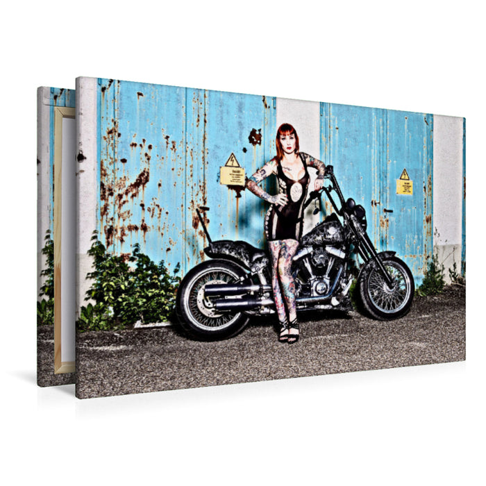 Premium Textil-Leinwand Softail Slim Bj.2015 mit Wildcat_Ink