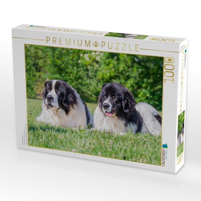 Ein Dreamteam - CALVENDO Foto-Puzzle'