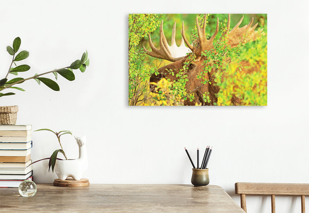 Premium textile canvas The Elk: King of the deer 