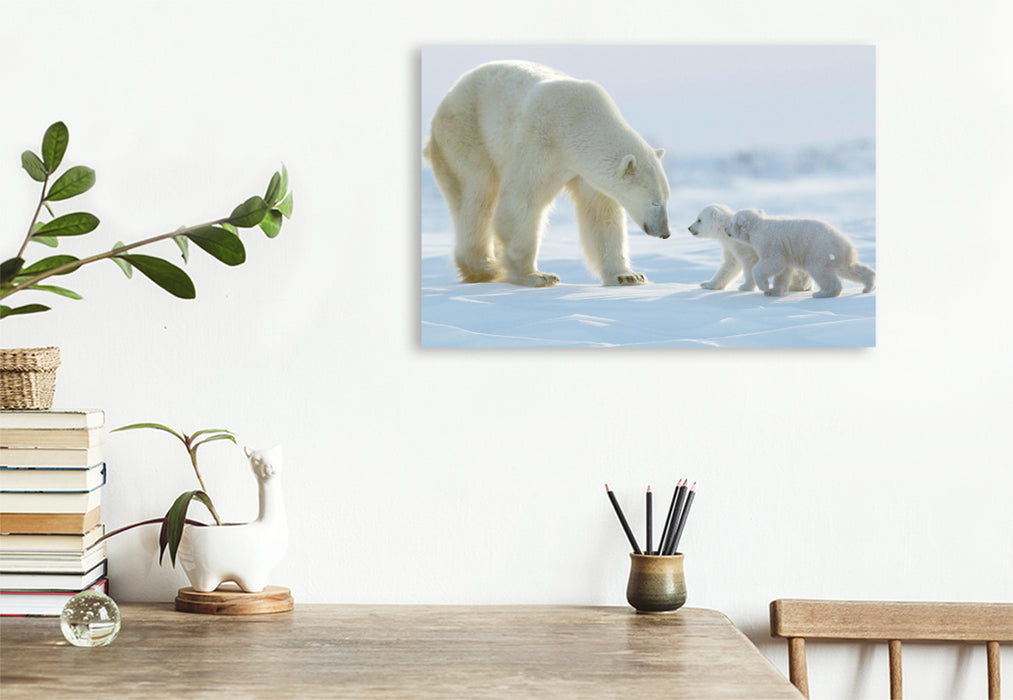 Ours polaire en toile textile premium avec ses deux oursons 
