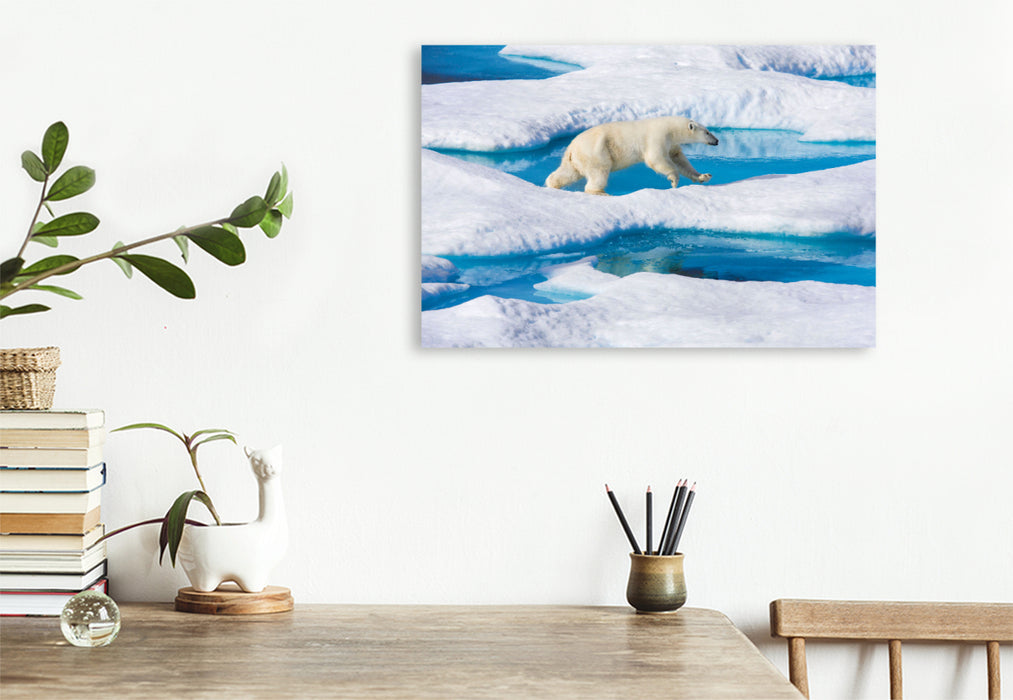 Premium textile canvas Young polar bear jumps from ice floe to ice floe 