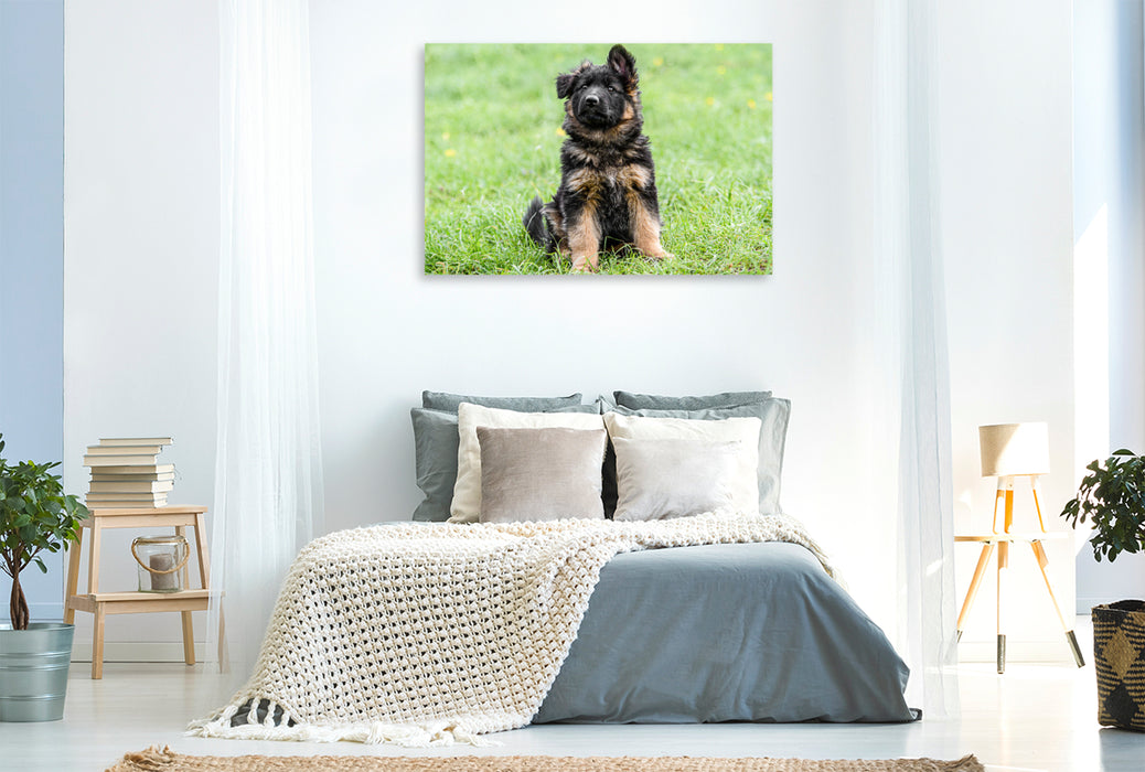 Premium Textil-Leinwand Schäferhund - Welpe Hündin