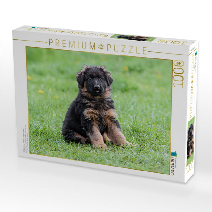 Schäferhund - Welpe Langstockhaar - CALVENDO Foto-Puzzle'