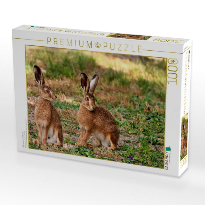 Aufmerksame Feldhasen - CALVENDO Foto-Puzzle'