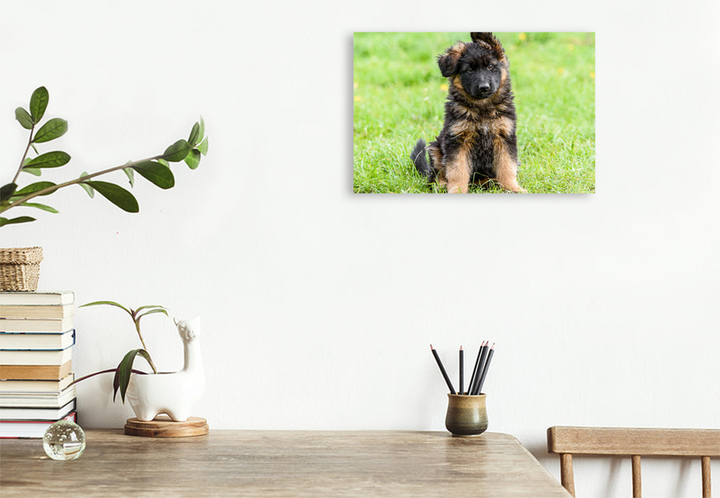 Premium textile canvas German Shepherd - puppy bitch 