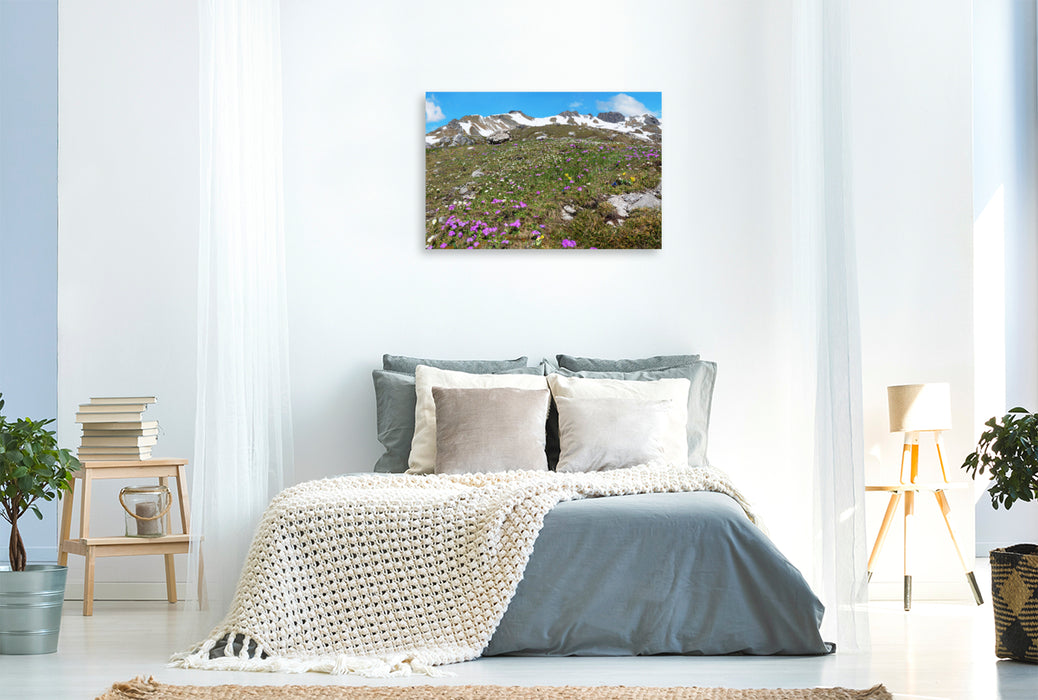 Premium textile canvas Alpine flowers at the Nebelhorn 