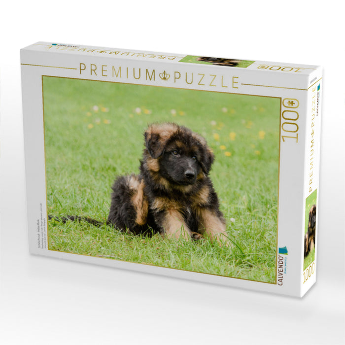 Schäferhund - Welpe Rüde - CALVENDO Foto-Puzzle'