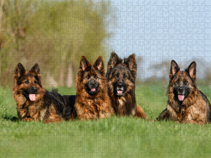 Freunde für´s Leben - CALVENDO Foto-Puzzle'