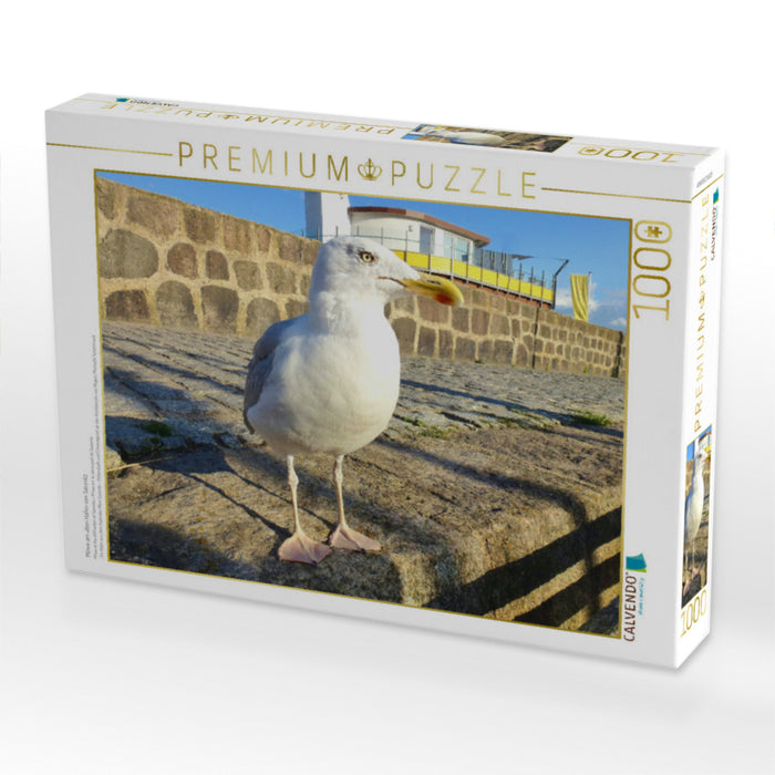 Möwe am alten Hafen von Sassnitz - CALVENDO Foto-Puzzle'