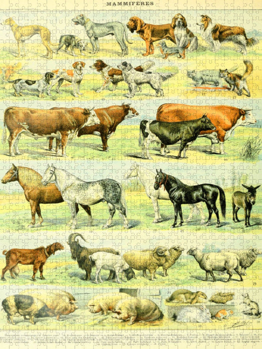 Naturtafel mit Haustieren - CALVENDO Foto-Puzzle'