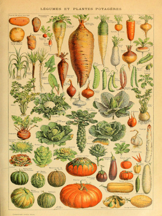 Naturtafel mit Gemüse - CALVENDO Foto-Puzzle'