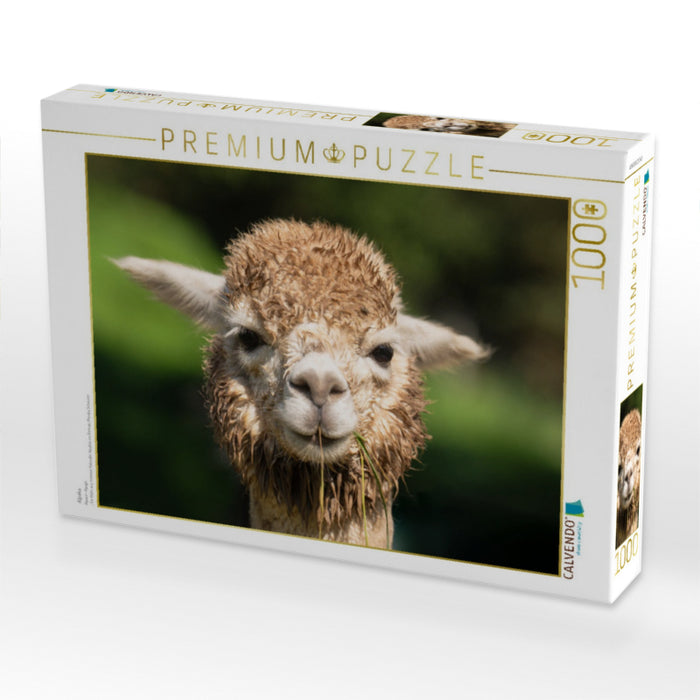 Alpaka - CALVENDO Foto-Puzzle'