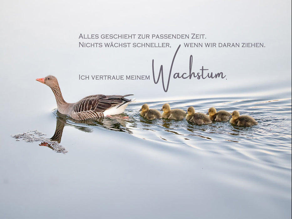 Wachstum - CALVENDO Foto-Puzzle'