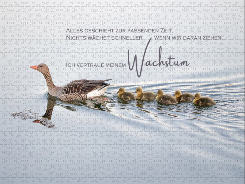 Wachstum - CALVENDO Foto-Puzzle'