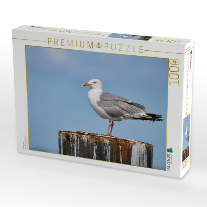 Silbermöve - CALVENDO Foto-Puzzle'