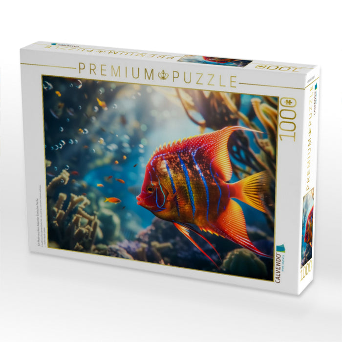 Ein Motiv aus dem Kalender Exotische Fische - CALVENDO Foto-Puzzle'