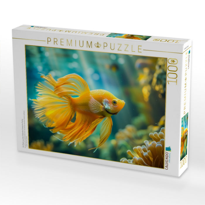 Ein Motiv aus dem Kalender Exotische Fische - CALVENDO Foto-Puzzle'