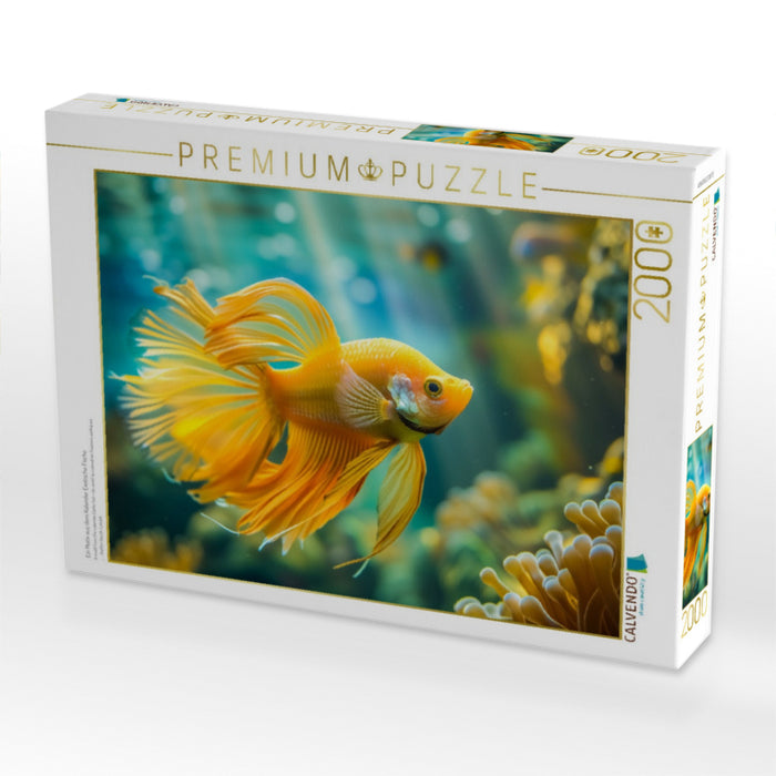 Ein Motiv aus dem Kalender Exotische Fische - CALVENDO Foto-Puzzle'