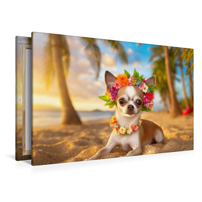 Premium Textil-Leinwand Chihuahua mit einem Blütenkranz liegt am Strand im Sonnenuntergang