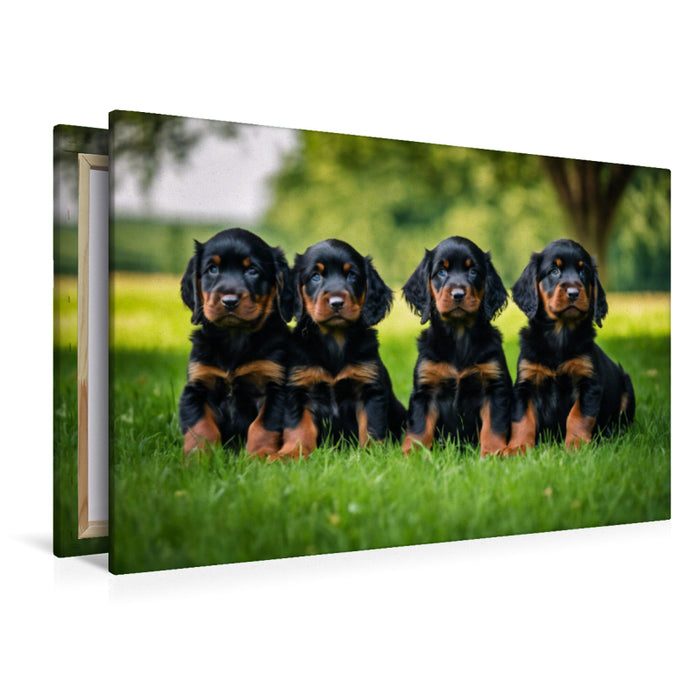 Premium Textil-Leinwand Knuffige Gordon Setter Welpen