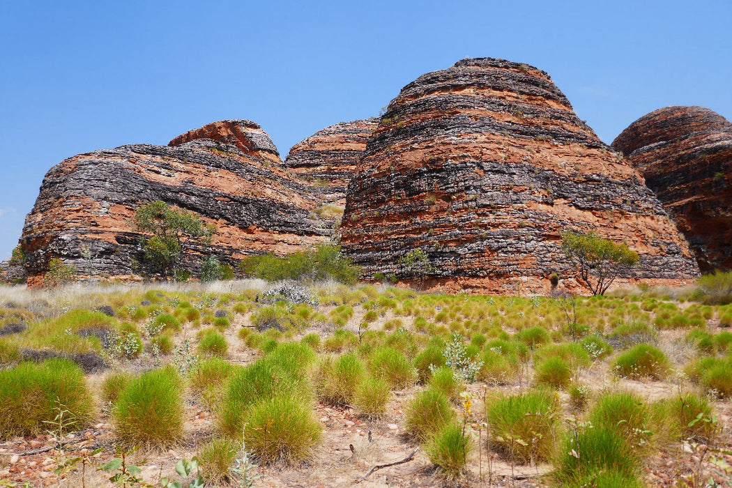 Premium Textil-Leinwand Bungle Bungle im Purnululu Nationalpark