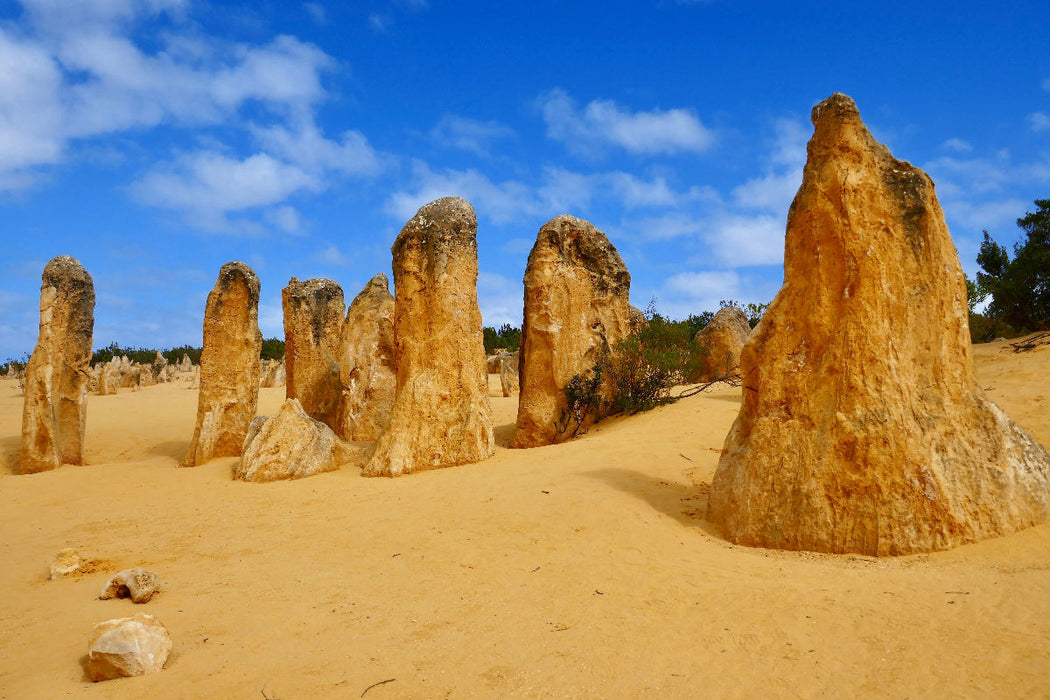 Premium Textil-Leinwand Pinnacles im Nambung National Park