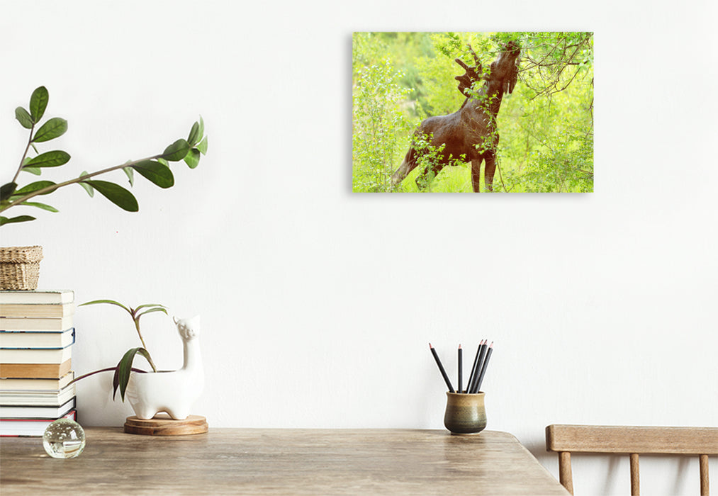 Premium textile canvas moose in the middle of fresh, green tree shoots 