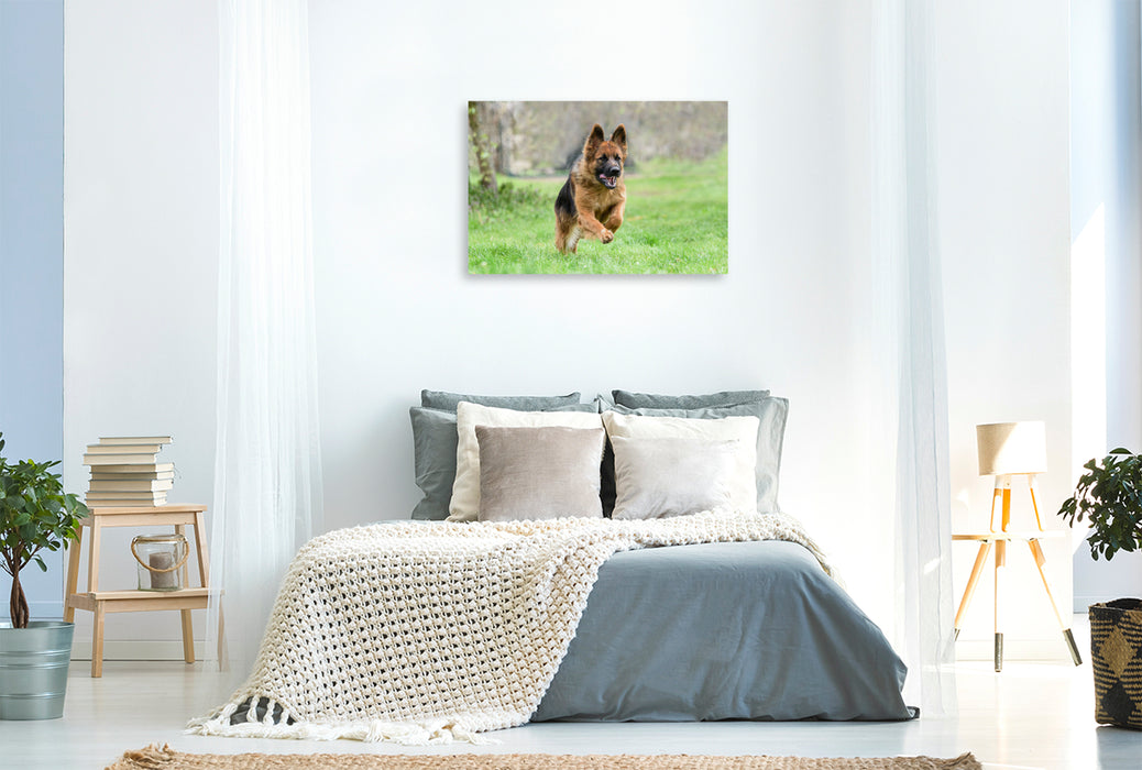 Premium textile canvas German Shepherd 