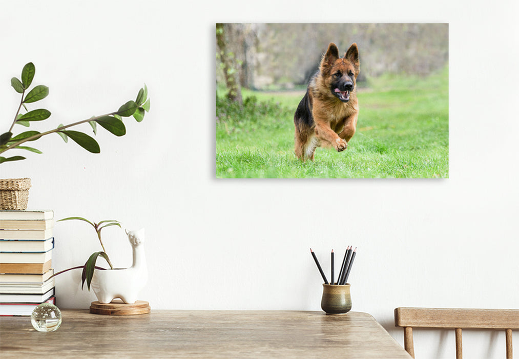 Premium textile canvas German Shepherd 