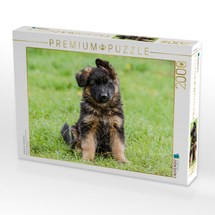 Schäferhund - Welpe Hündin - CALVENDO Foto-Puzzle'