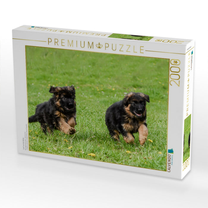 Lauf um die Wette - CALVENDO Foto-Puzzle'