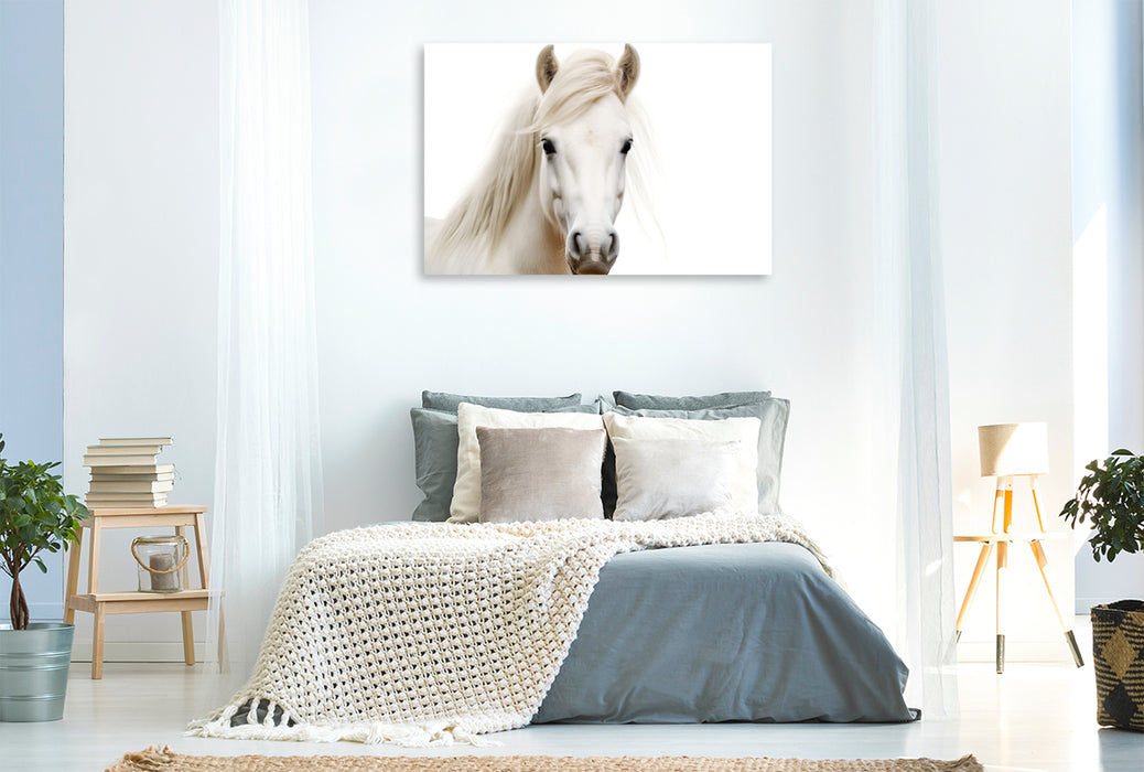 Premium Textil-Leinwand Ein Motiv aus dem Kalender "Only white animals"