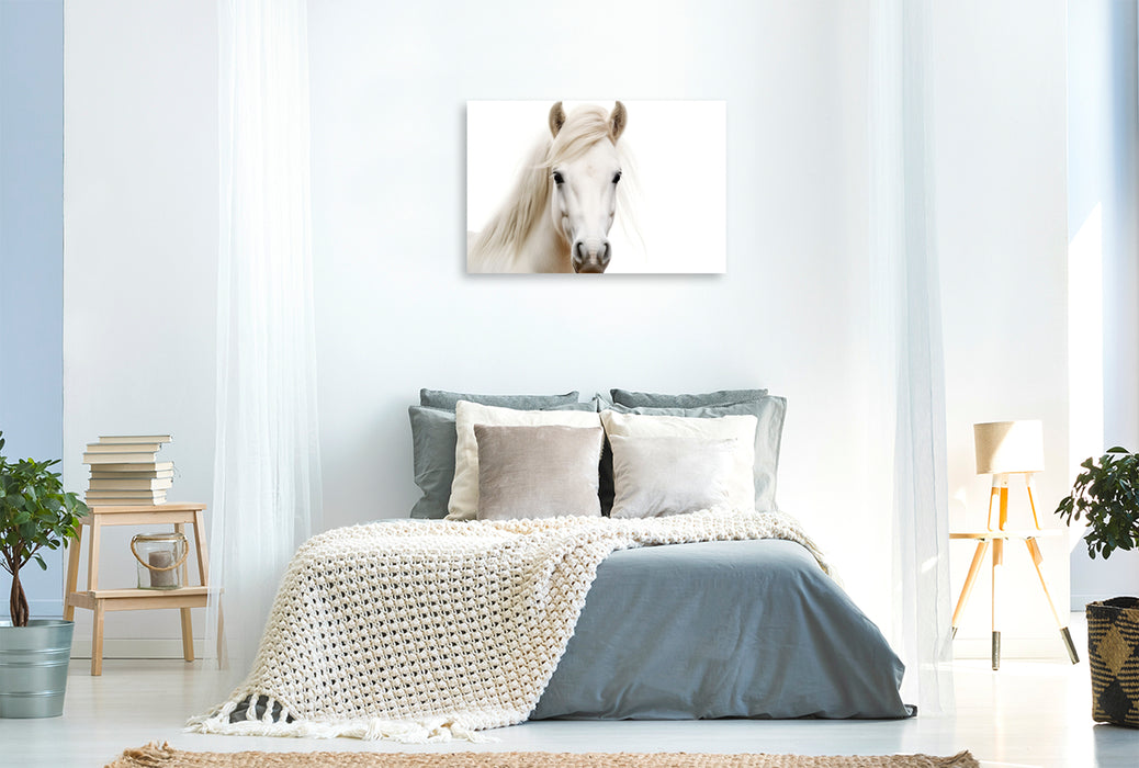 Premium Textil-Leinwand Ein Motiv aus dem Kalender "Only white animals"